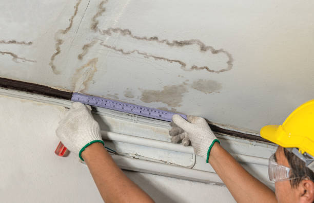 Reliable Basement Water Removal contractor in Barberton, WA by Water Damage Irwin